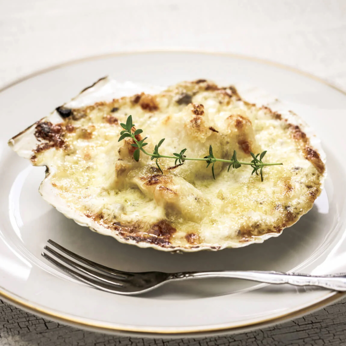 coquilles-st-jacques